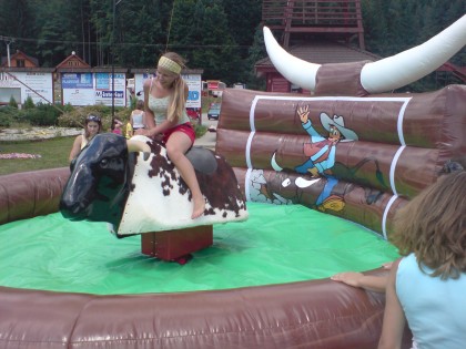 Rodeo býk