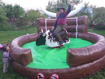 Rodeo býk 2